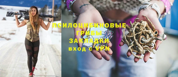 ALPHA PVP Куйбышев