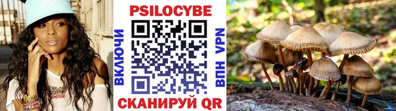 Галлюциногенные грибы GOLDEN TEACHER  Купить где  Челябинск 